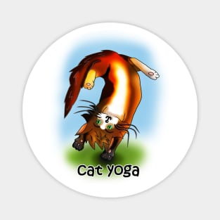 cat yoga 1 Magnet